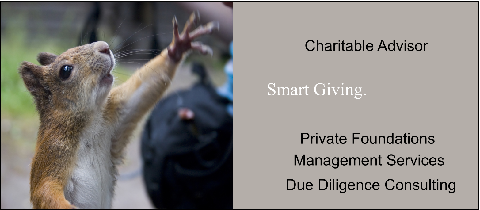 Charitable Advisor